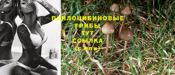 PSILOCYBIN Кинешма