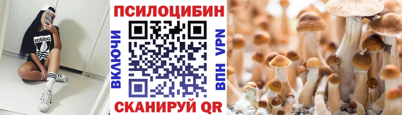 Псилоцибиновые грибы Psilocybine cubensis  Купить где  Талица 
